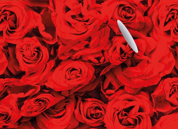 Geschenkpapier Red Roses