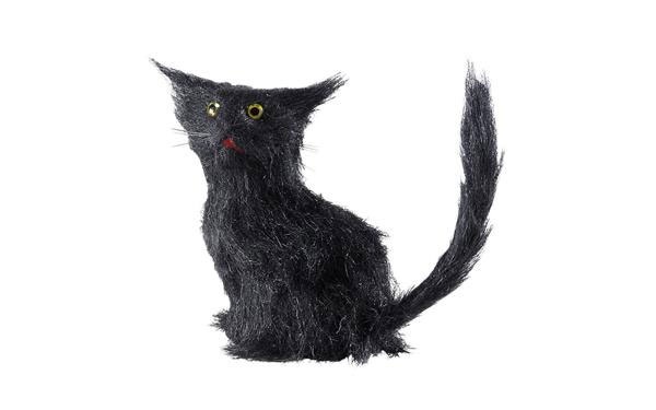 Kostüm-Zubehör schwarze Katze