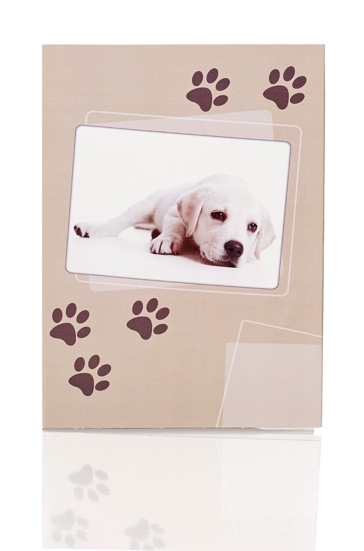 Rössler Briefpapier-Set Sam Hundepfoten