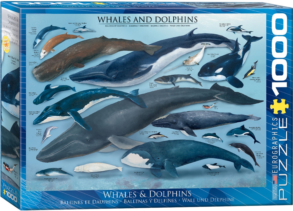 Puzzle Wale und Delphine 1000 Teile