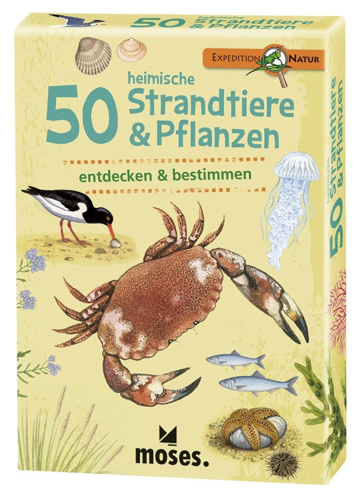 Expedition Natur - 50 heimische Strandtiere & Pflanzen moses