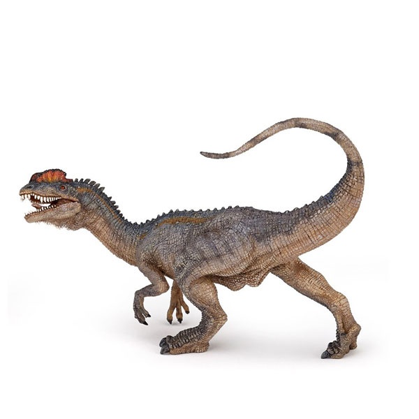 Dilophosaurus 55035 von Papo