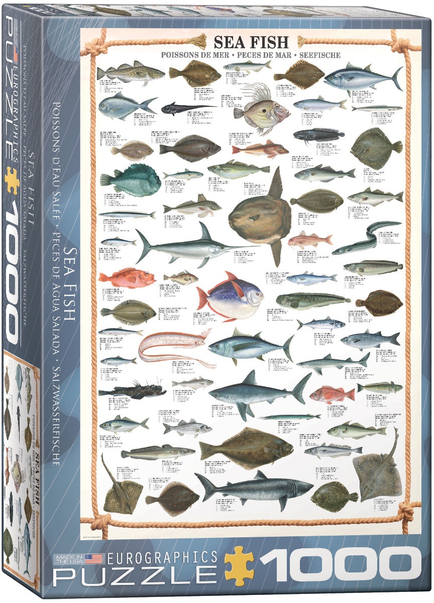 Puzzle Seefische 1000 Teile